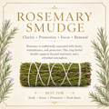 Rosemary Smudge 4" product