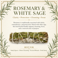 Rosemary White Sage 4" product