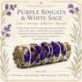 Purple Sinuata Flower White Sage 4" product