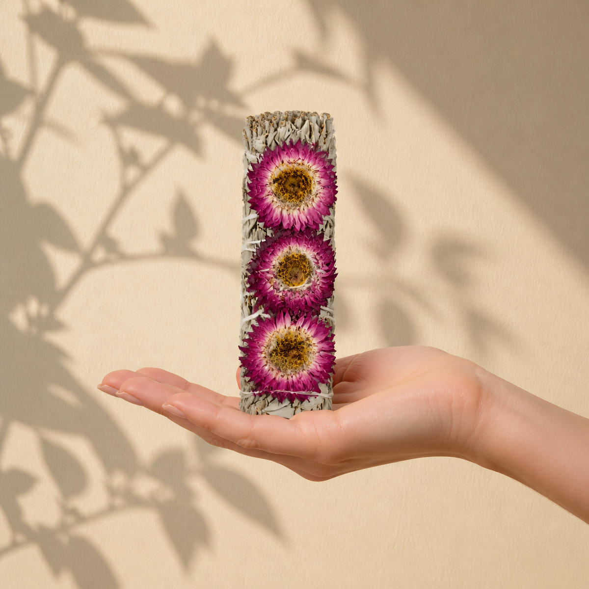 Purple Sunflower White Sage