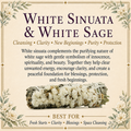 White Sinuata Flowers White Sage product