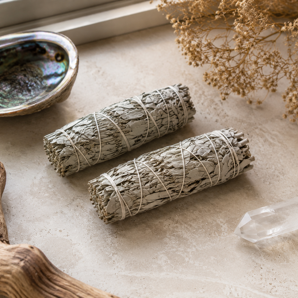 White Sage 4" 2 Pack