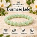 Burmese Jade 8mm stretch bracelet hero