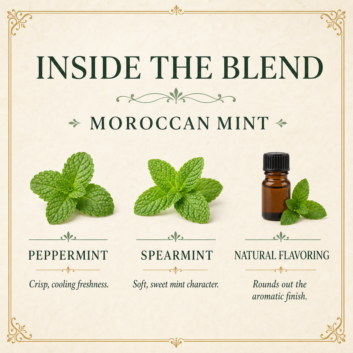 Moroccan Mint