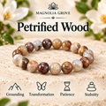 Petrified Wood 8mm stretch bracelet hero