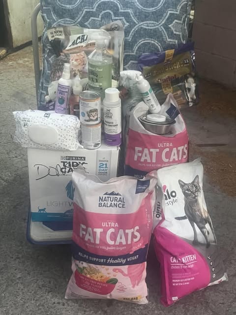 Community donations supporting homeless cats and dogs